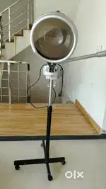 Hair and Face Steamer