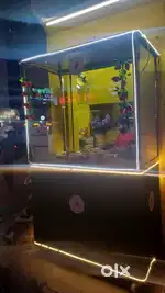 Chocolate Cart