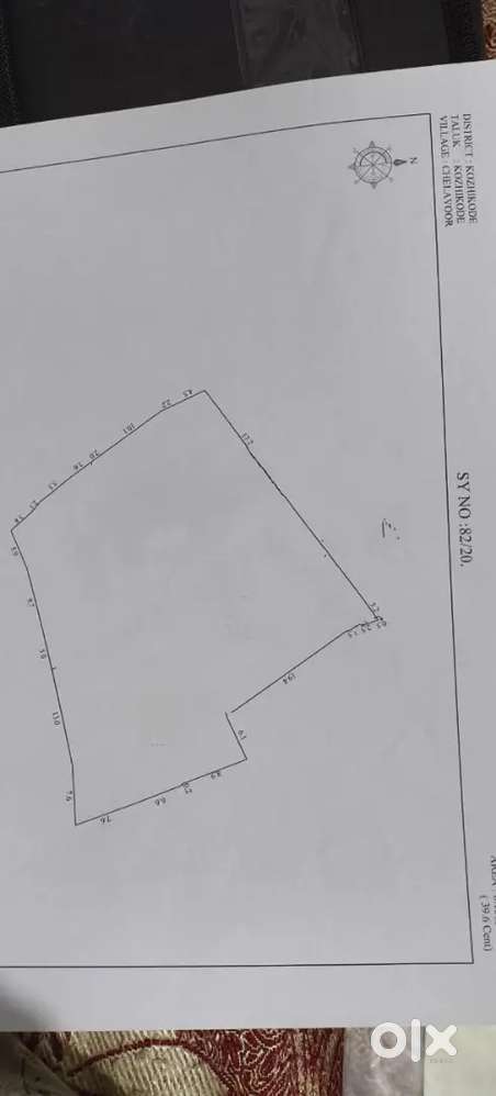 Plain land suitable for house and ther purposes