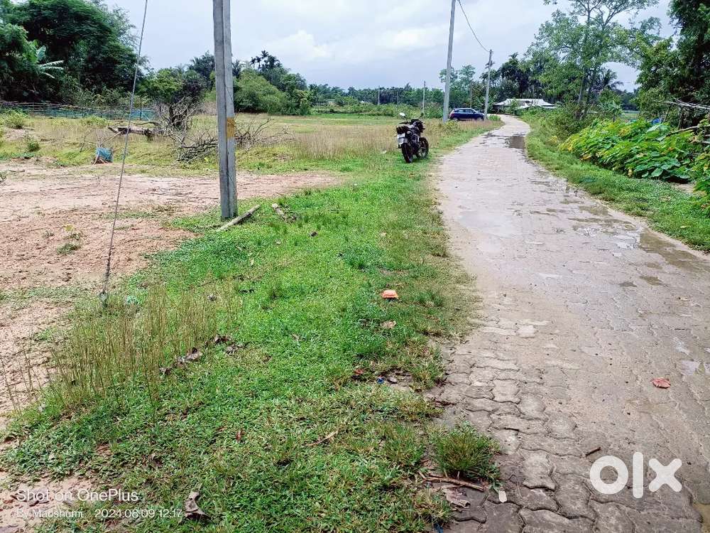 35 Katha for sale