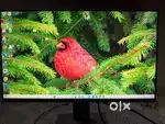 Dell Screen