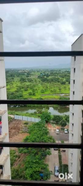 1 BHK flat open view available in rent crown project lodha Dombivli.