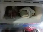 LG refrigerator
