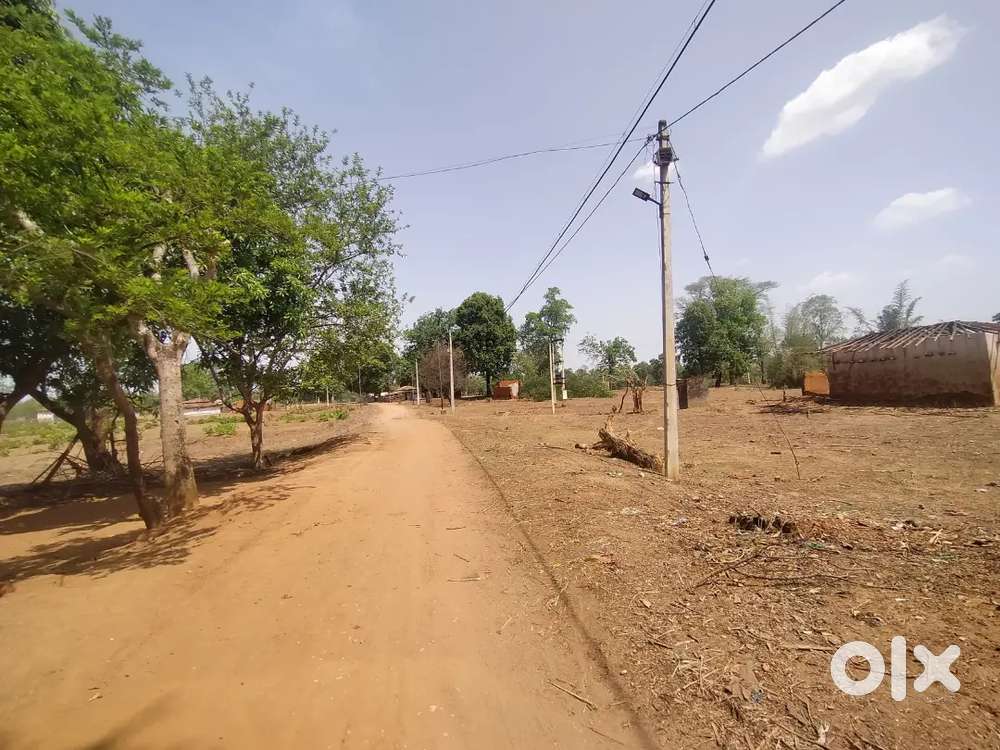 Coal mains area plots 50 Dismil jamin