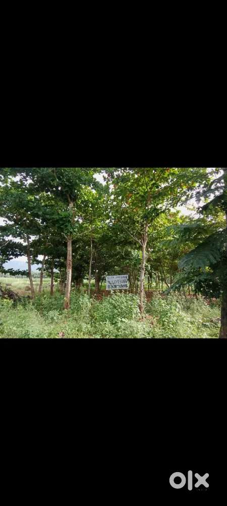 Site for sale in Santhapalem
