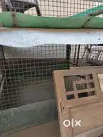 छपर शेड जंगले के ऊपर ढकने के लिए