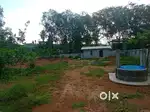 26 cent land at chemmanna, avaneeswaram
