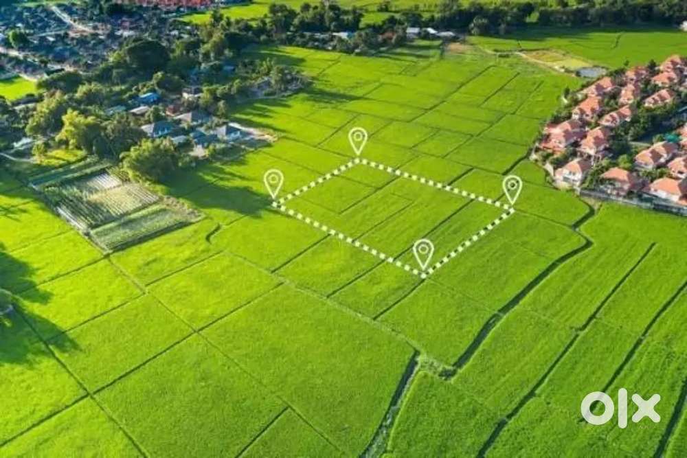 प्लॉट विकत पाहिजेल आहे N.A नसला तरी चालेल, शेती विकत घेऊ