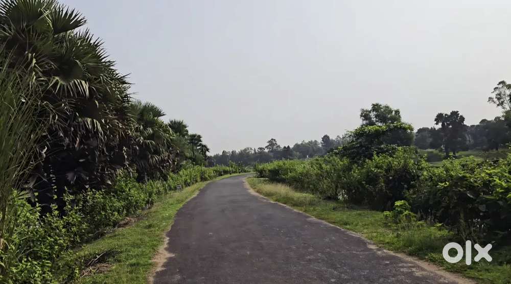 2.30 Lakh per bigha 56 Bigha Land sale, Bankura district