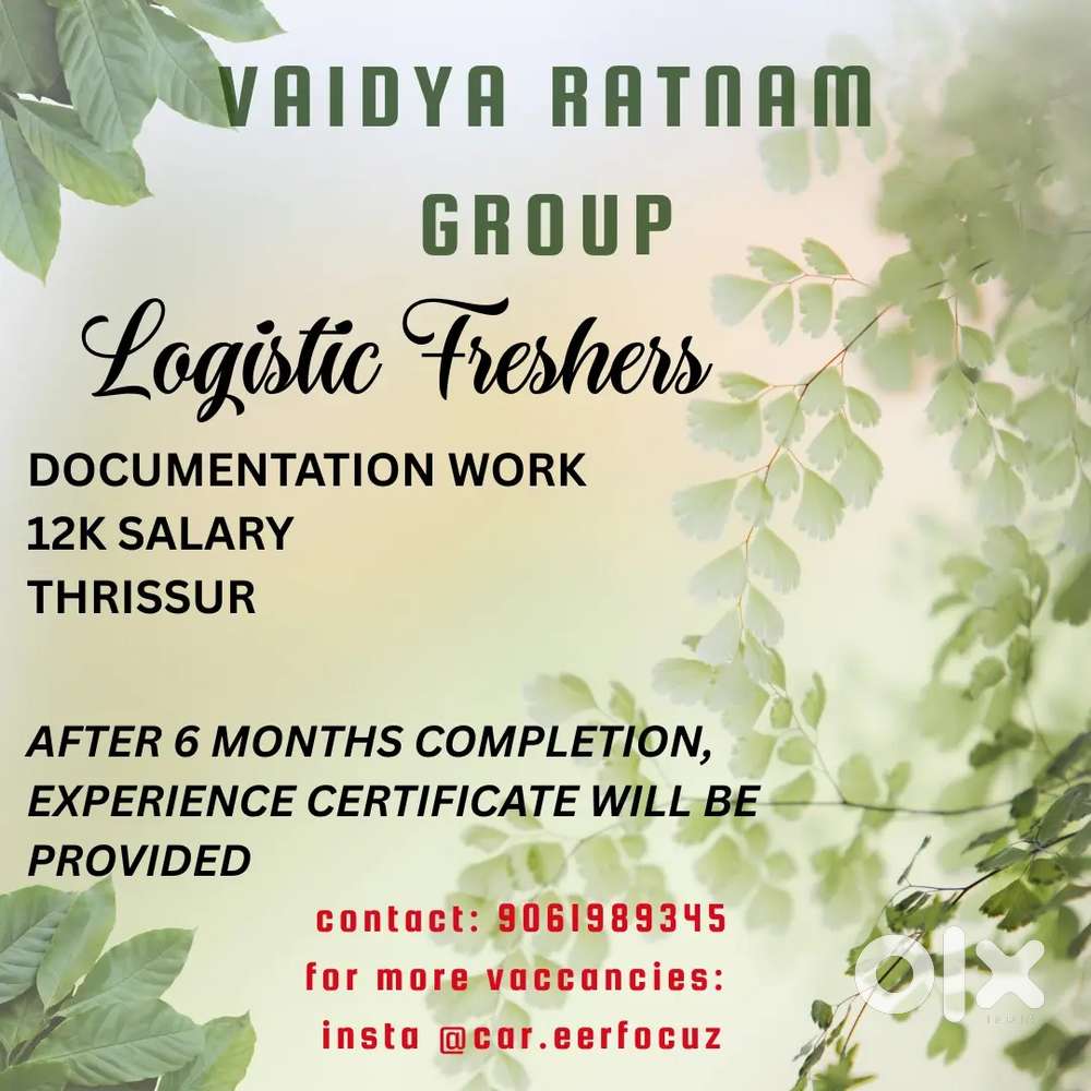 DOCUMENTATION JOB FOR LOGISTICS FRESHERS