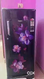 a Whirlpool 183-liter single-door refrigerator with a floral design