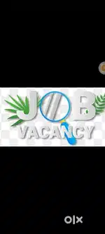 HIRING PERMANENT JOB VACANCY IN CHENNAI