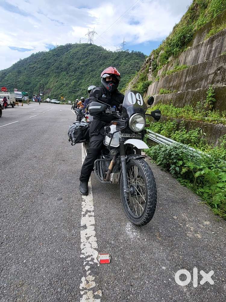 Modified himalayan with accessories