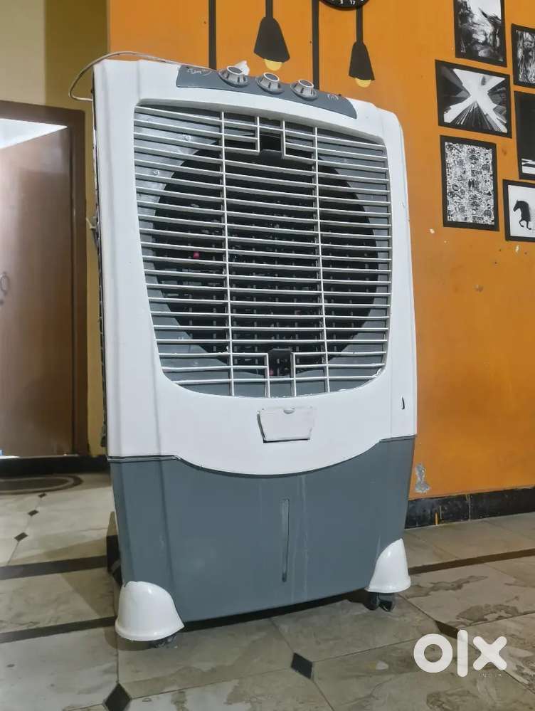 Big Cooler-1 year old