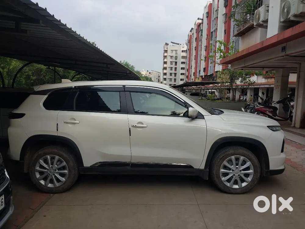Maruti Suzuki Grand Vitara 2024 Petrol Well Maintained
