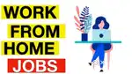 Work from home (free joining)