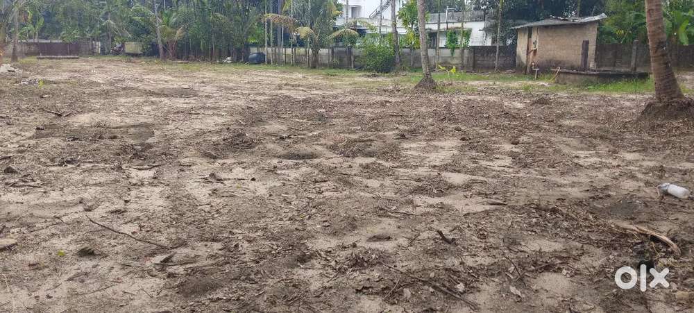 VARAPUZHA 200 mtr 4 cent 3 lakh per cent