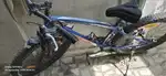 Cycle for regular