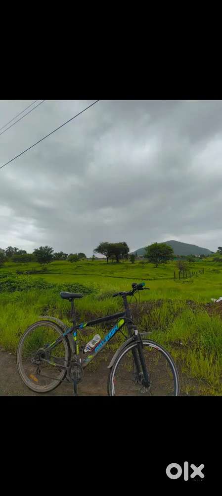 RALEIGH Hybrid Bicycle on Sale L size