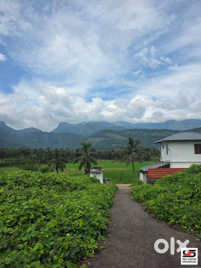House plots for sale near Dhoni, Palakkad