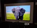 Panasonic 65 inch 4k 240hz refresh rate led tv