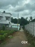 Kotheri - sn college road , residential area