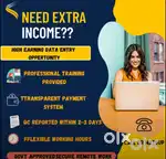 DATA ENTRY WORK