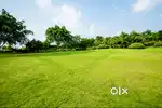 KOCHI KAKKANAD 860000/CENT