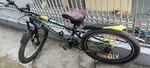 Parrot  thunderclap mountain bike