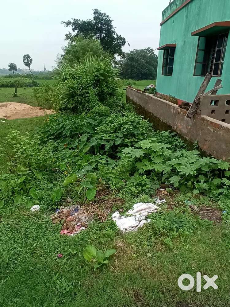 Residential plot, area- 2 katha, mouza- Nadiha, block-durgapurfaridpur