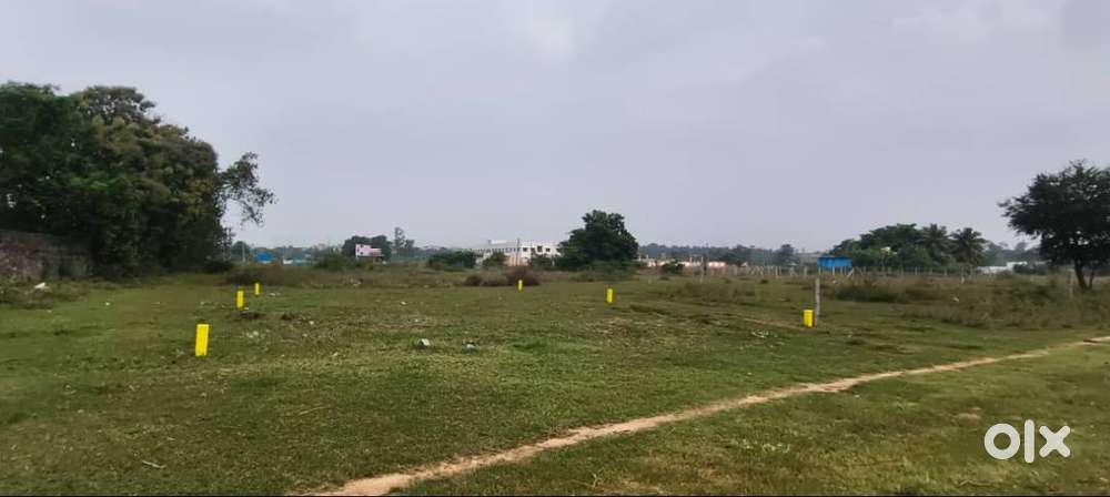 MARAIMALAI NAGAR - DTCP APPROVED PLOT FOR SALE