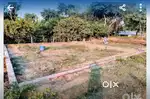 Plot for sale Opposite S r international school bisalpur road Bly