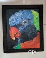 Acrylic hand painted parrot