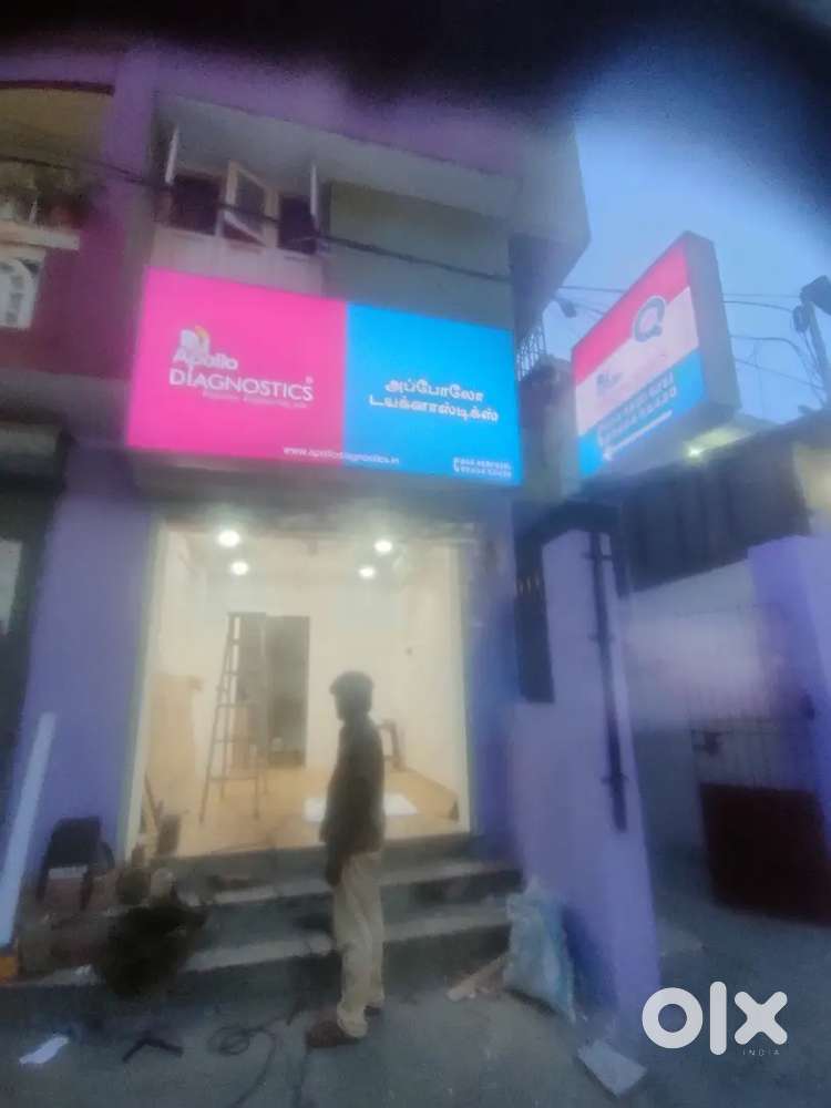 Lab technician blood collection centre