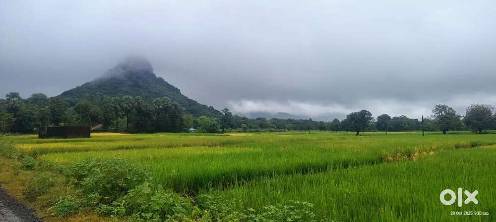 15 दिसमिल हैं