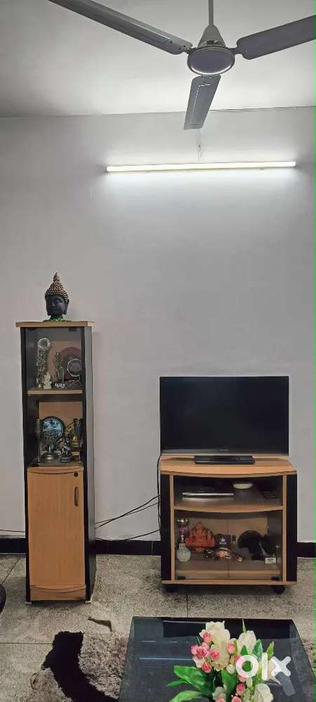 Tower Showcase and TV table