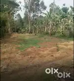 25 cent plot for sale