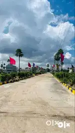 get open plot in EMI option