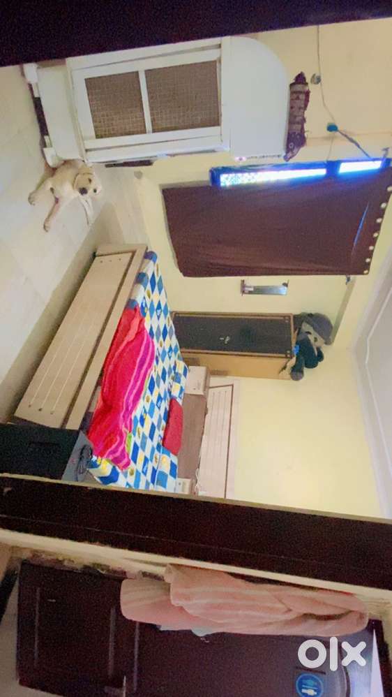 need girl roomate