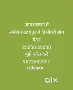 Delivery boy job in Udaipur