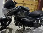 Honda Shine 125 Drum