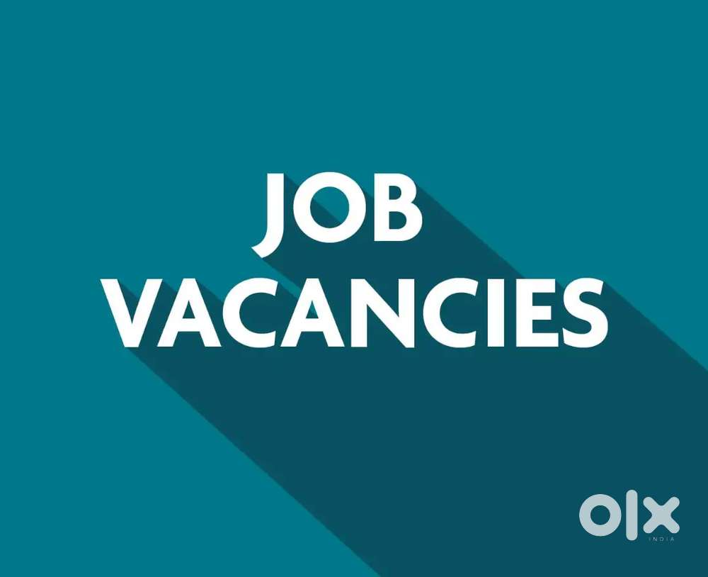 WANTED TO THE ACCOUNTANT FOR OFFICE