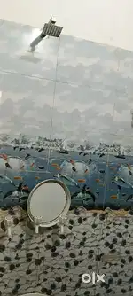 25 foot road corner ka makan hai bechna hai