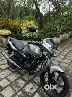 Unicorn for sale