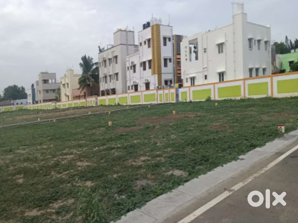 Plots for Immediate Registration