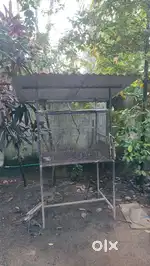 Chicken Cage