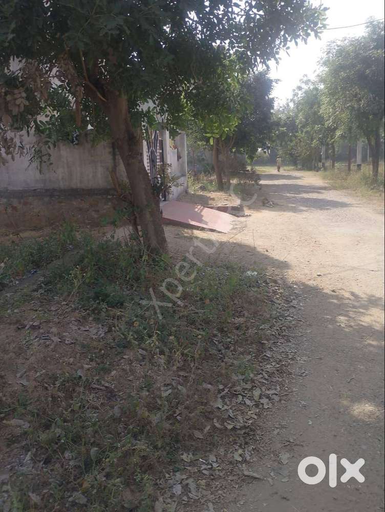 Open Plot in Maharajpur