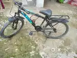 Gang cycle blue