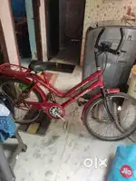 Neelam Cycle