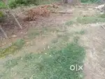 Road level land .
